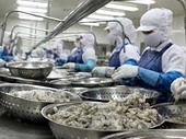 Vietnam Challenges US Anti-Dumping Duties on Shrimp