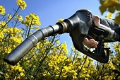 Biofuels Certification Schemes Could Create Indirect trade Barriers – FAO