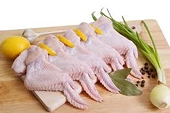 South Africa: Clucking in chicken coop as import row hots up