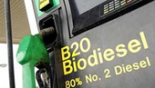   Argentina Calls EU Biodiesel Import Tariff ‘Protectionist’ Move