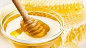 US: Two Honey-Processing Companies Charged in Anti-Dumping Case