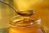 EU: Action demanded as cheap honey imports flood market