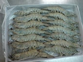 Malaysia responds to US countervailing duty on shrimp