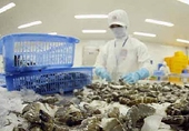 Vietnam needs to think of lobbyism after failures in anti-dumping lawsuits