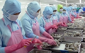 DOC confirms no Vietnam shrimp dumping
