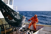 Faroe islands launch WTO dispute over EU fishing restrictions