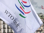 WTO must evolve to stay relevant in trade policy