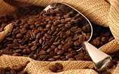 Vietnam: EU market beckons agriculture exports
