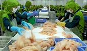 Vietnam: Seafood exports to US to face more hurdles