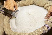 India grants subsidy to promote raw sugar export over domestic refining