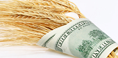 China to spend 10 pct more on farm subsidies in 2014