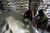 S.Korea should shift away from rice import quotas