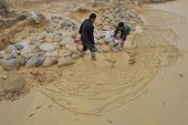 China to appeal WTO rare earth ruling