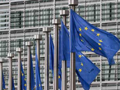 EU needs energy union to safeguard industry: Commissioner