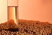 Argentina cuts biodiesel export taxes, industry group says