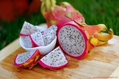 New Zealand to import VN dragon fruit