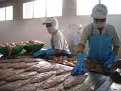 Bac Lieu aquatic exports reach record high