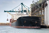 Australian exports to key Asian trade partners increase