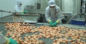 Vietnam sees more opportunities for seafood exports in 2014