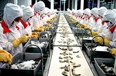 Vietnamese seafood exporters grasp golden opportunities
