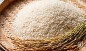 Singapore rice imports