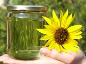 Indonesia challenges EU over anti-dumping on biodiesel imports -WTO