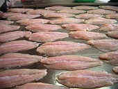 VN: Exporters urged to meet EU standards