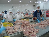 VASEP: US New Antidumping Taxation On Tra Fish Unreasonable