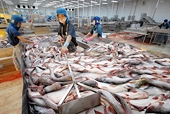 US may slash anti-dumping tax for Vietnamese pangasius