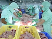 Textile, garment exports surpass yearly target