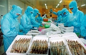 VN Seafood Exports Encounter Numerous Barriers