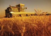Russia to ban all U.S. agricultural imports
