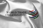 Russia Has No Plans to Leave WTO Over Sanctions