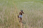 China hopes WTO can 'resolve differences' and sign deal