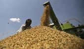 India insists on food subsidy deal before WTO pact