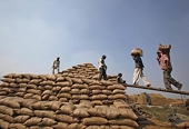 Indian minister says no plans to raise food handouts