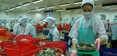 Americans oppose imposition of anti-dumping shrimp Vietnam