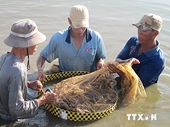 Vietnam opposes US anti-dumping tariffs on shrimp