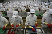 Vietnam seafood sector reports uptick