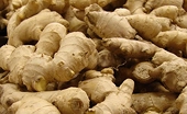 Nepal: Ginger traders face non-tariff barriers