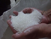 India may extend sugar export subsidies for select states
