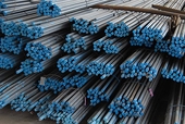 WTO rules in India’s favour in steel dispute with U.S.