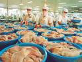 U.S. approves anti-dumping probes against melamine from China, Trinidad