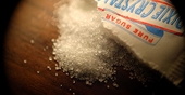 Extension of export subsidy on raw sugar sought
