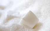 VN: Sugar import quota up for debate