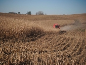 Developing countries increasing farm subsidies