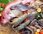 Brazil lifts import ban on VN seafood