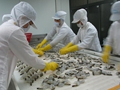 Viet Nam Loses Appeal over Anti-dumping Inconsistencies