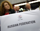 Russia complains to WTO over EU anti-dumping policies, WTO says