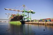 India cuts back on anti-dumping action: WTO